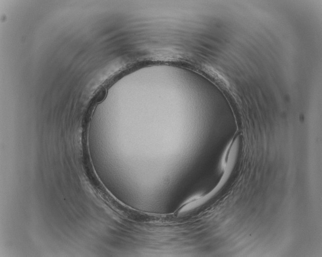 X0000088380535200706121147