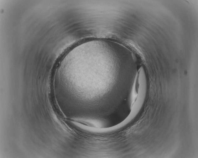 X0000088380536200706121147