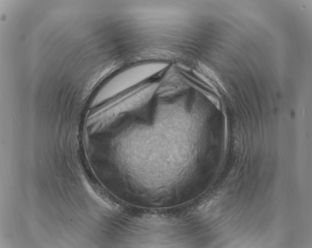 X0000088380538200706121147