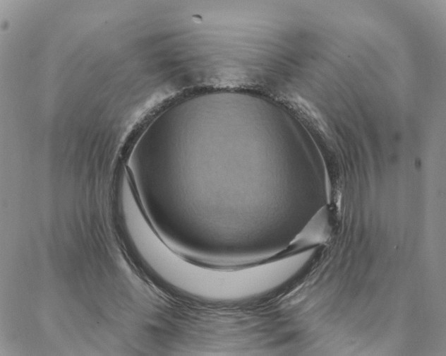 X0000088380540200706121147