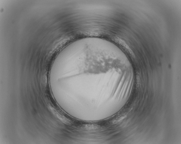 X0000088380541200706121147