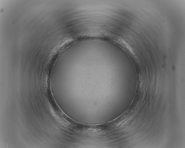 X0000088380542200706121147