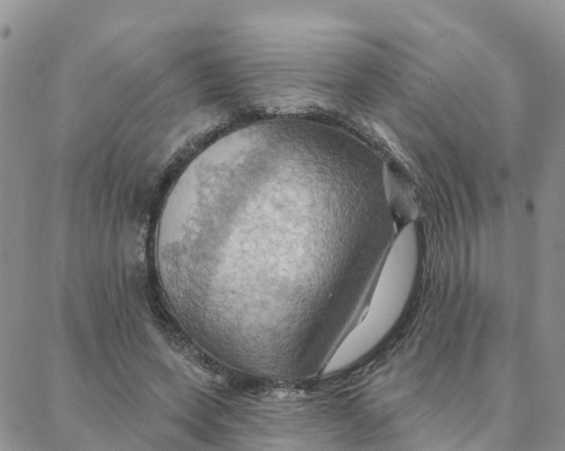 X0000088380543200706121147