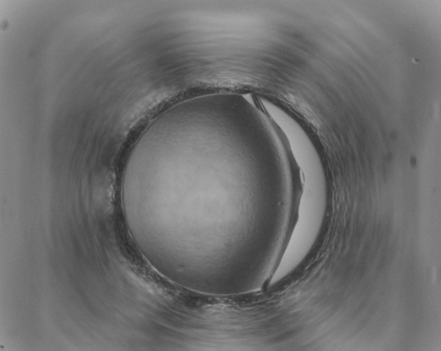 X0000088380544200706121147