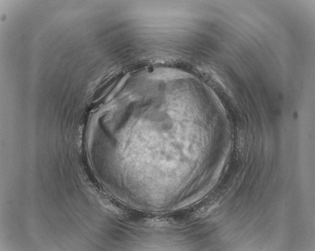 X0000088380545200706121147