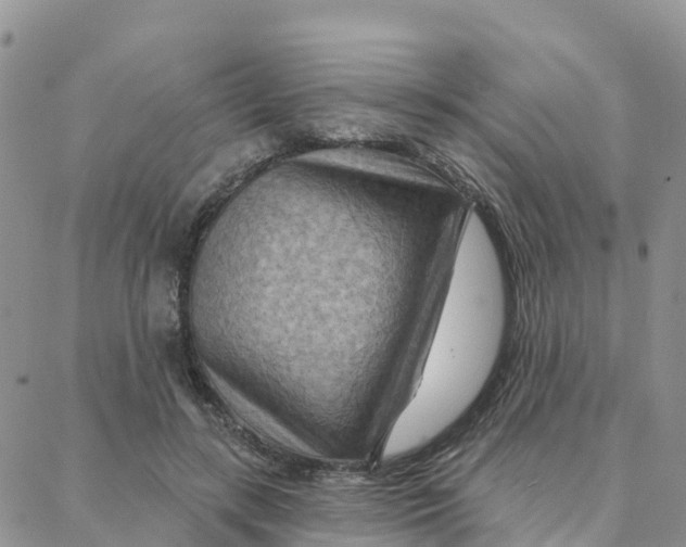 X0000088380547200706121147