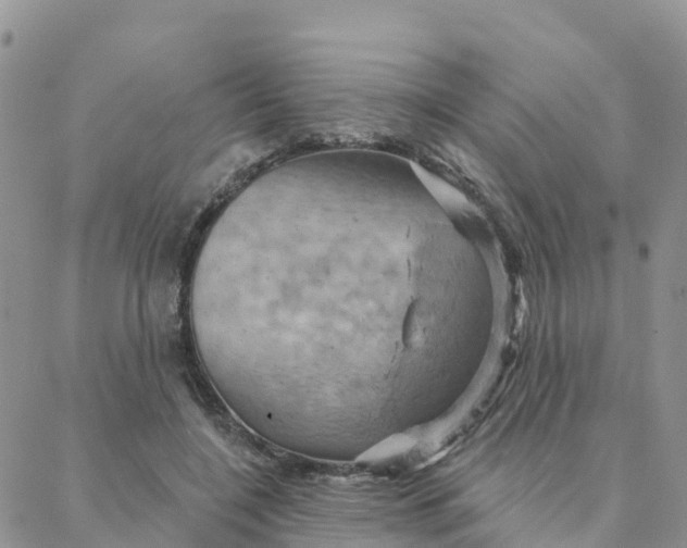 X0000088380548200706121147