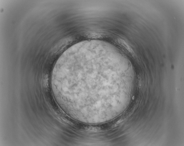 X0000088380549200706121147