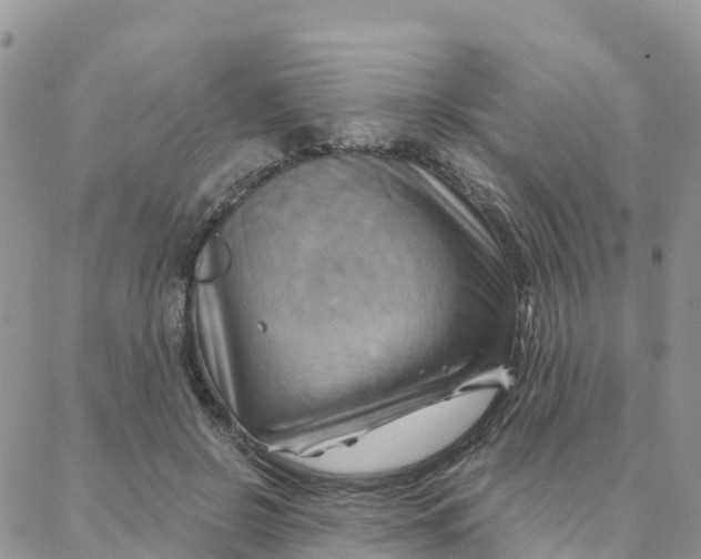 X0000088380550200706121147