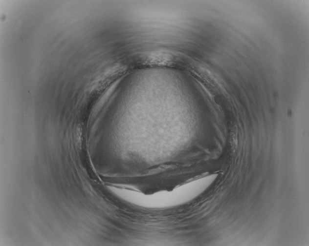 X0000088380551200706121147