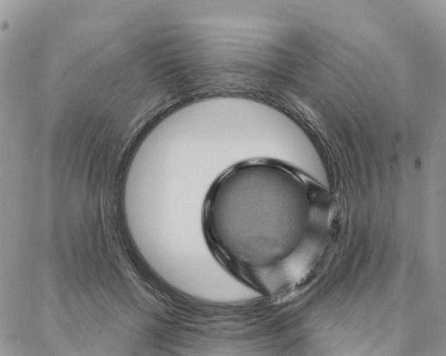 X0000088380552200706121148