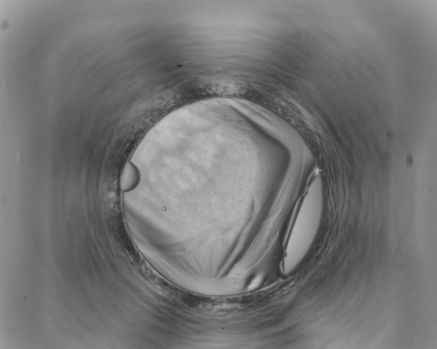 X0000088380553200706121148