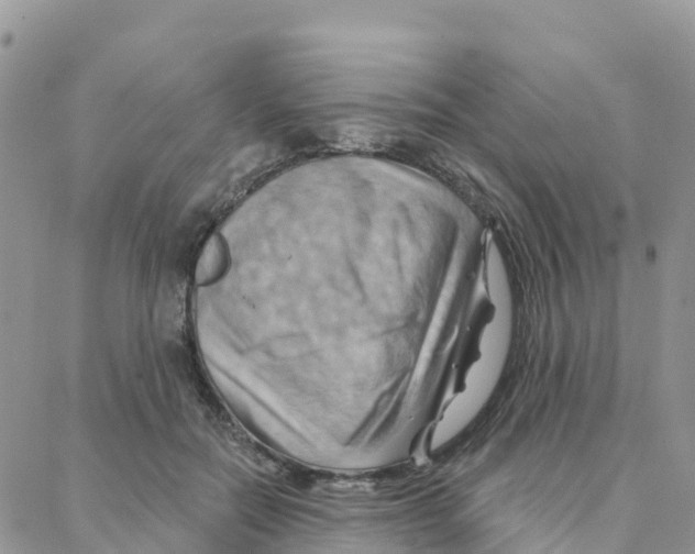 X0000088380554200706121148