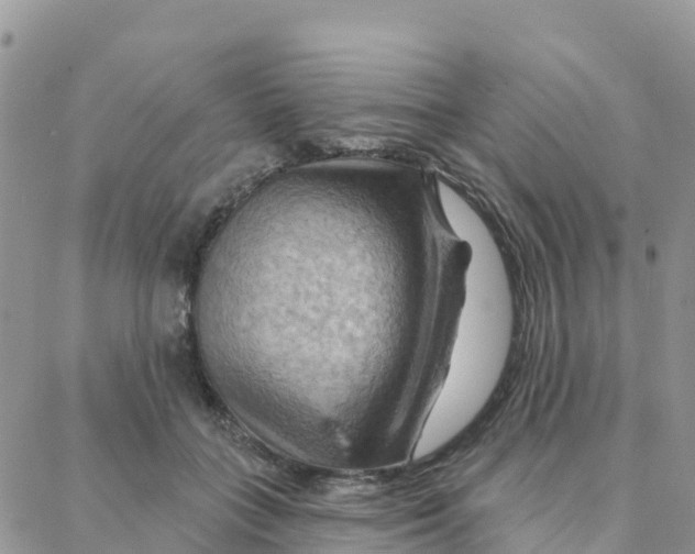 X0000088380555200706121148