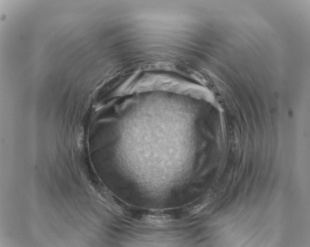 X0000088380556200706121148