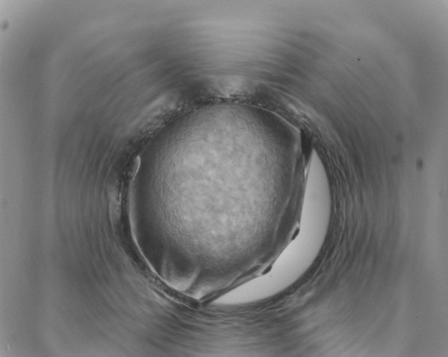 X0000088380558200706121148