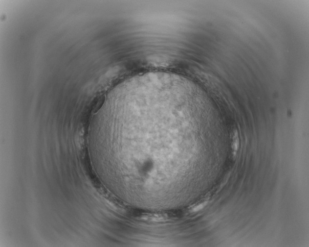 X0000088380559200706121148