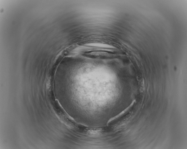 X0000088380560200706121148