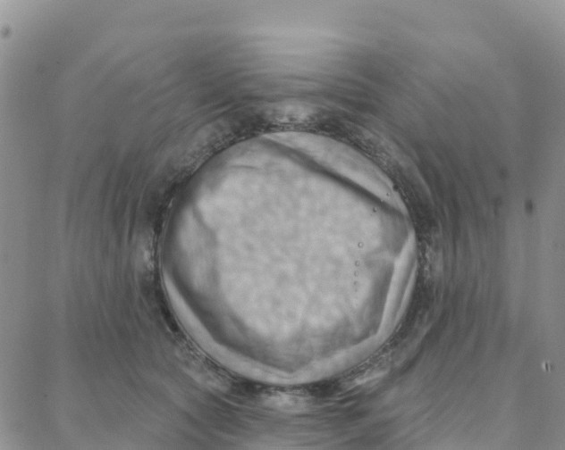 X0000088380561200706121148