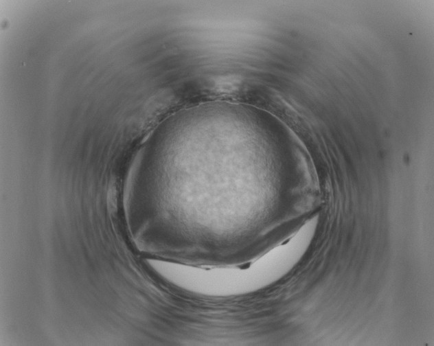 X0000088380562200706121148