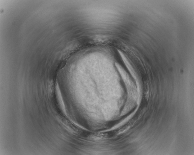 X0000088380563200706121148