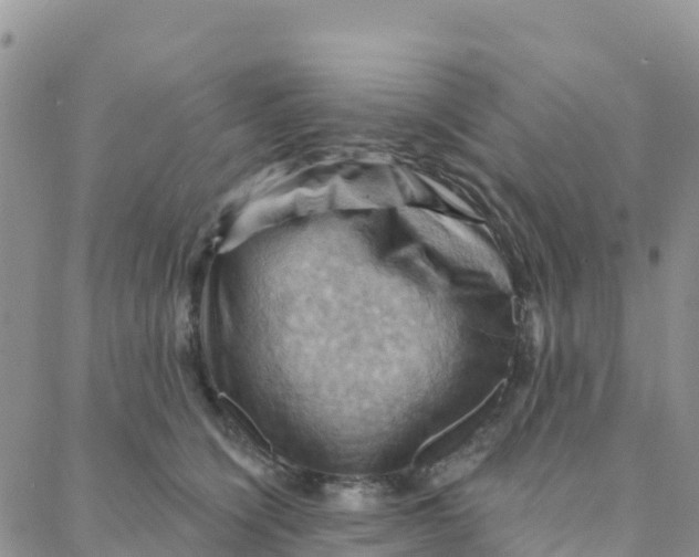 X0000088380564200706121148