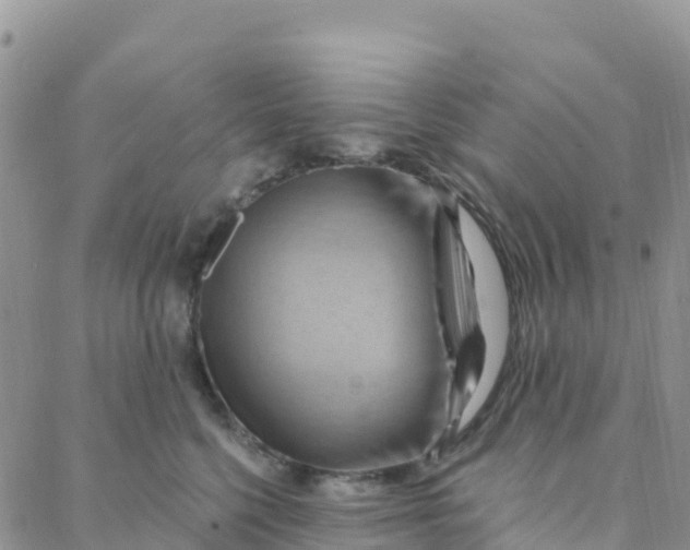 X0000088380568200706121148