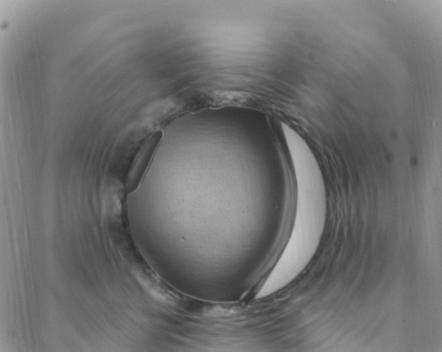 X0000088380570200706121148