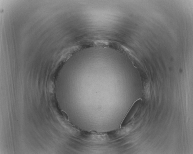 X0000088380571200706121148