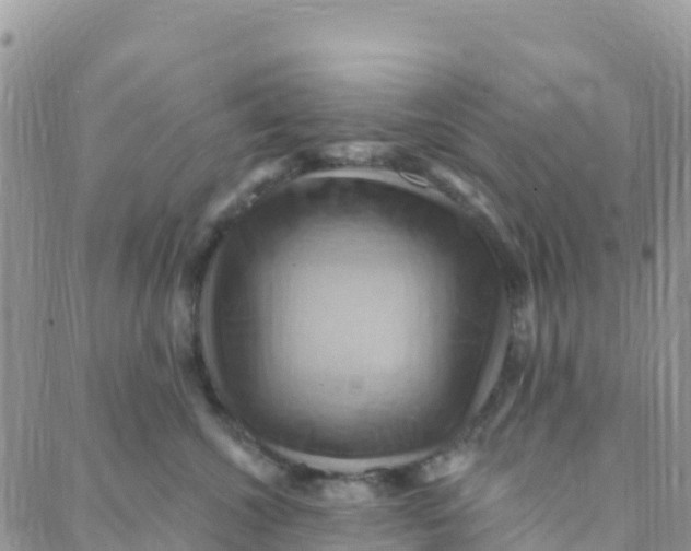 X0000088380572200706121148