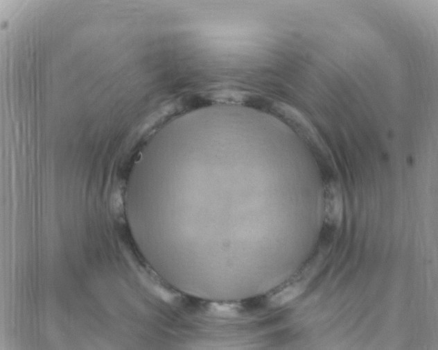 X0000088380573200706121148