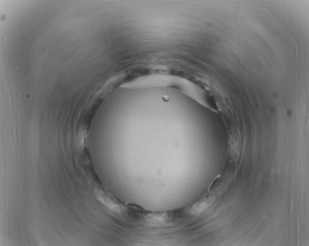 X0000088380574200706121148