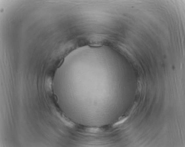 X0000088380575200706121148