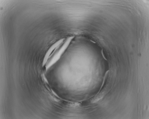 X0000088380576200706121148