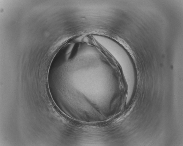 X0000088380577200706121147