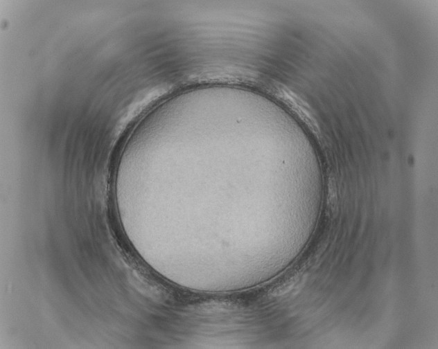 X0000088380578200706121147