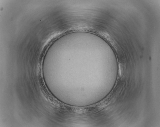 X0000088380579200706121147