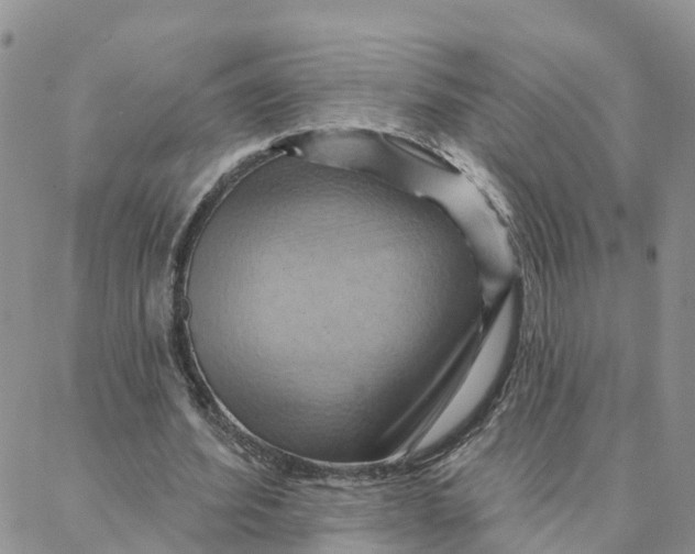 X0000088380580200706121147