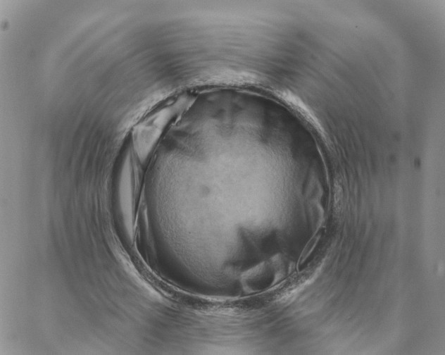 X0000088380581200706121147