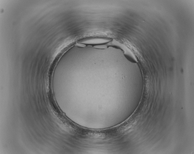 X0000088380582200706121147