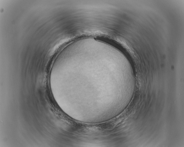 X0000088380583200706121147