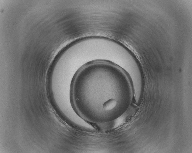 X0000088380584200706121147