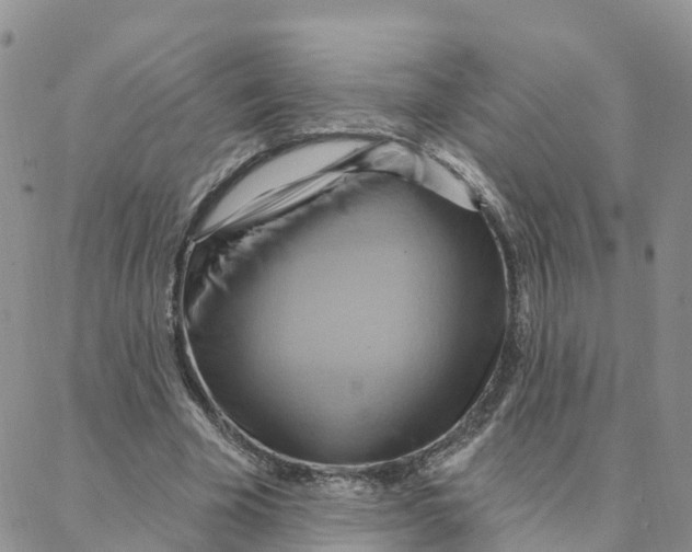 X0000088380585200706121147