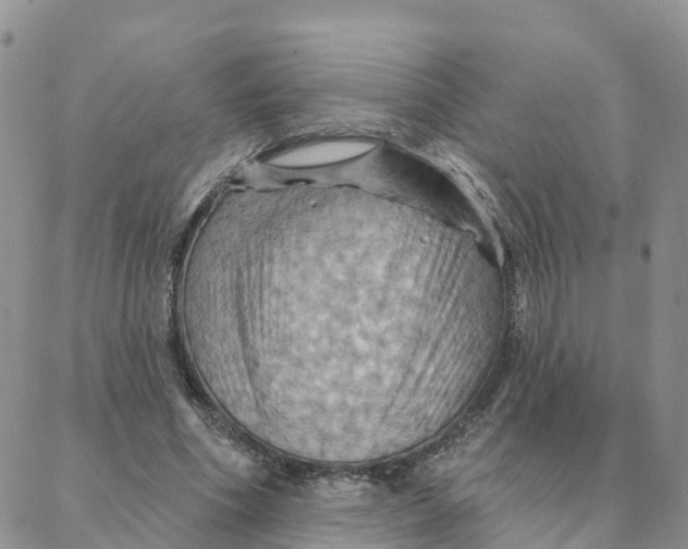 X0000088380586200706121147