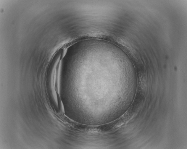 X0000088380587200706121147