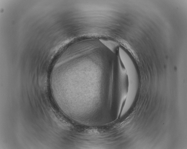 X0000088380588200706121147