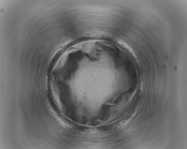 X0000088380589200706121147