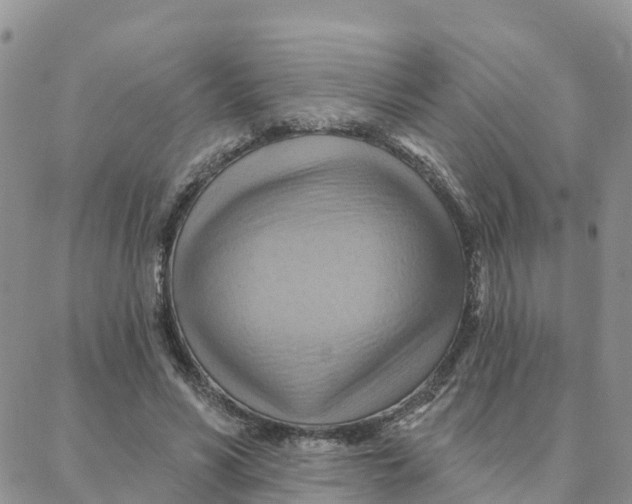 X0000088380590200706121147