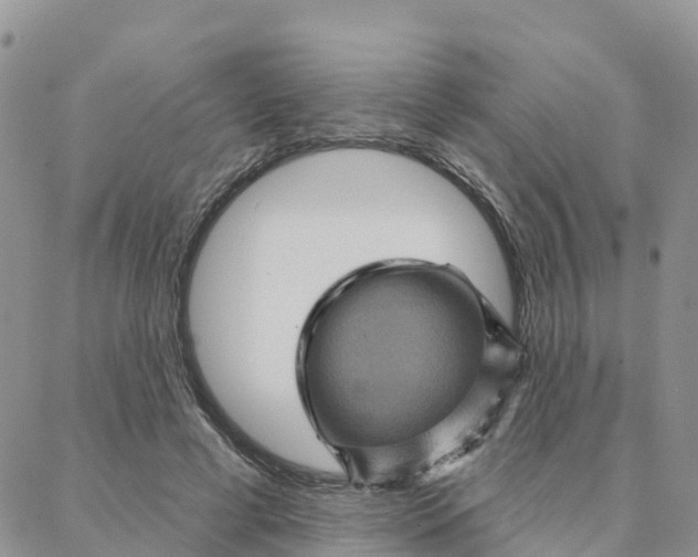 X0000088380593200706121147