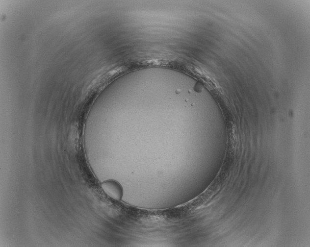 X0000088380594200706121147